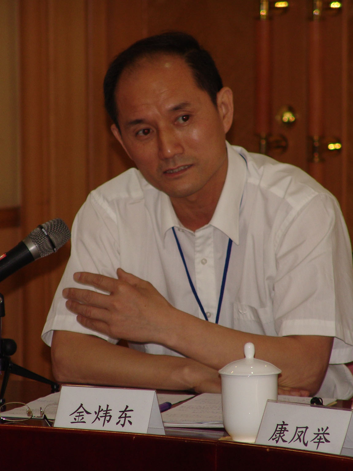 Jin Weidong